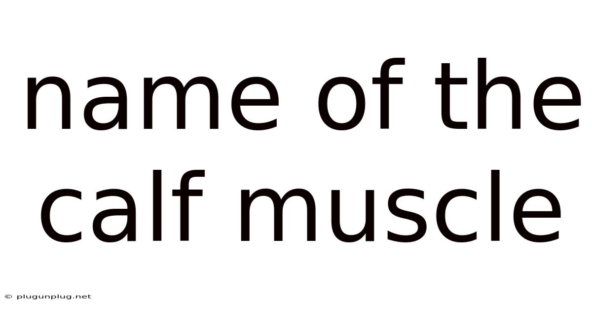 Name Of The Calf Muscle