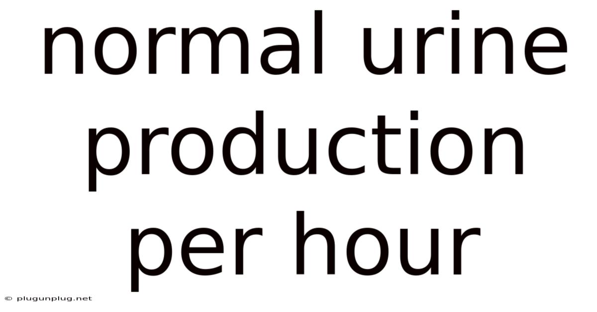 Normal Urine Production Per Hour