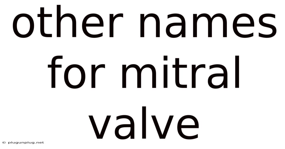 Other Names For Mitral Valve