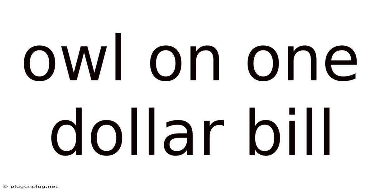 Owl On One Dollar Bill
