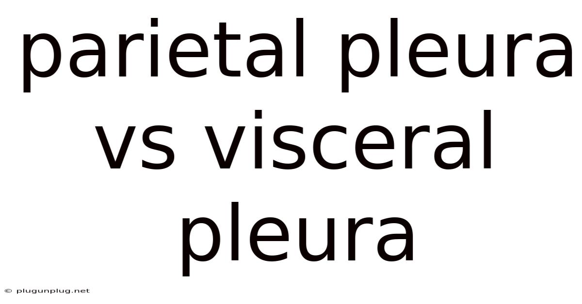 Parietal Pleura Vs Visceral Pleura