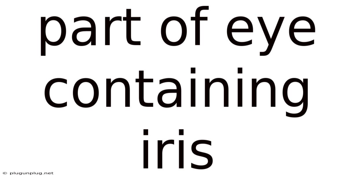 Part Of Eye Containing Iris