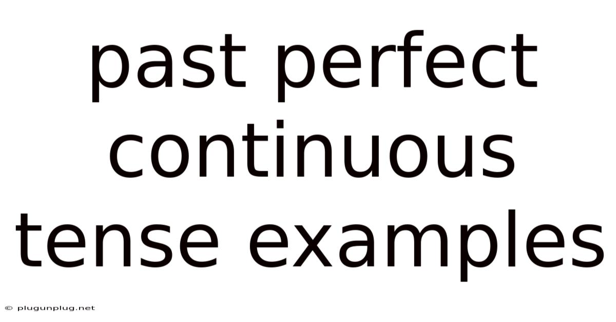 Past Perfect Continuous Tense Examples
