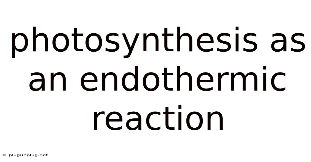 Photosynthesis As An Endothermic Reaction