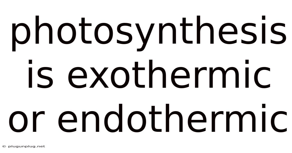 Photosynthesis Is Exothermic Or Endothermic