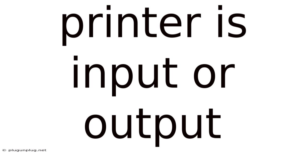 Printer Is Input Or Output