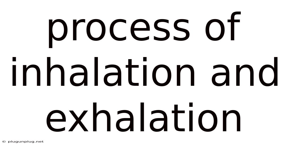 Process Of Inhalation And Exhalation