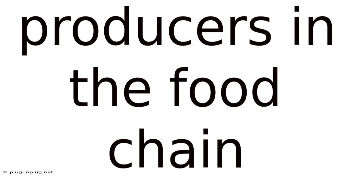 Producers In The Food Chain