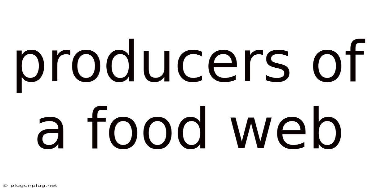 Producers Of A Food Web