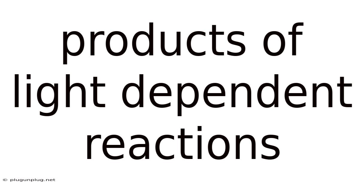 Products Of Light Dependent Reactions
