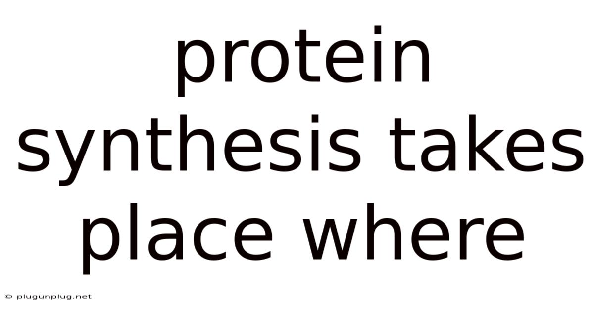Protein Synthesis Takes Place Where
