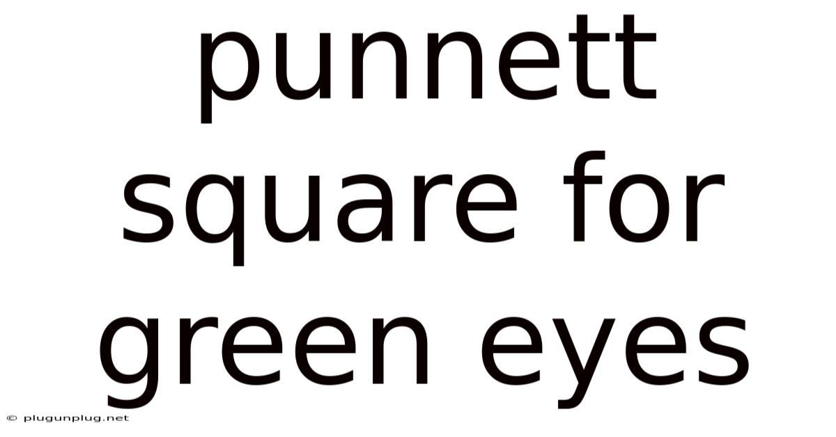 Punnett Square For Green Eyes