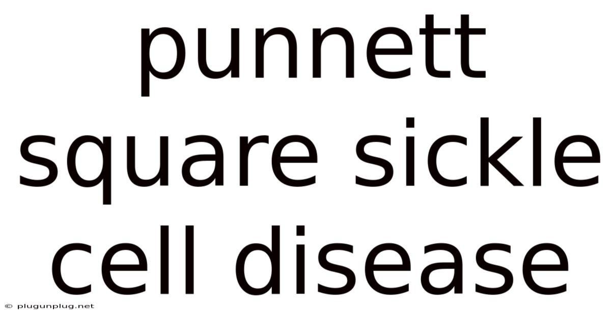 Punnett Square Sickle Cell Disease