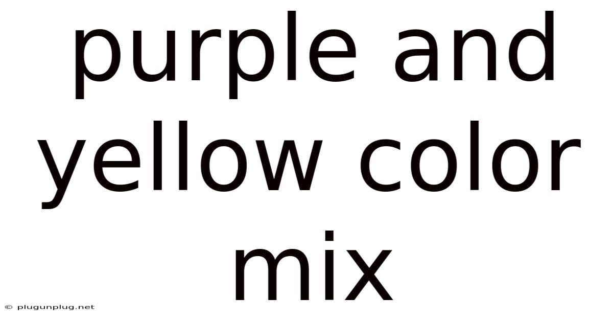 Purple And Yellow Color Mix