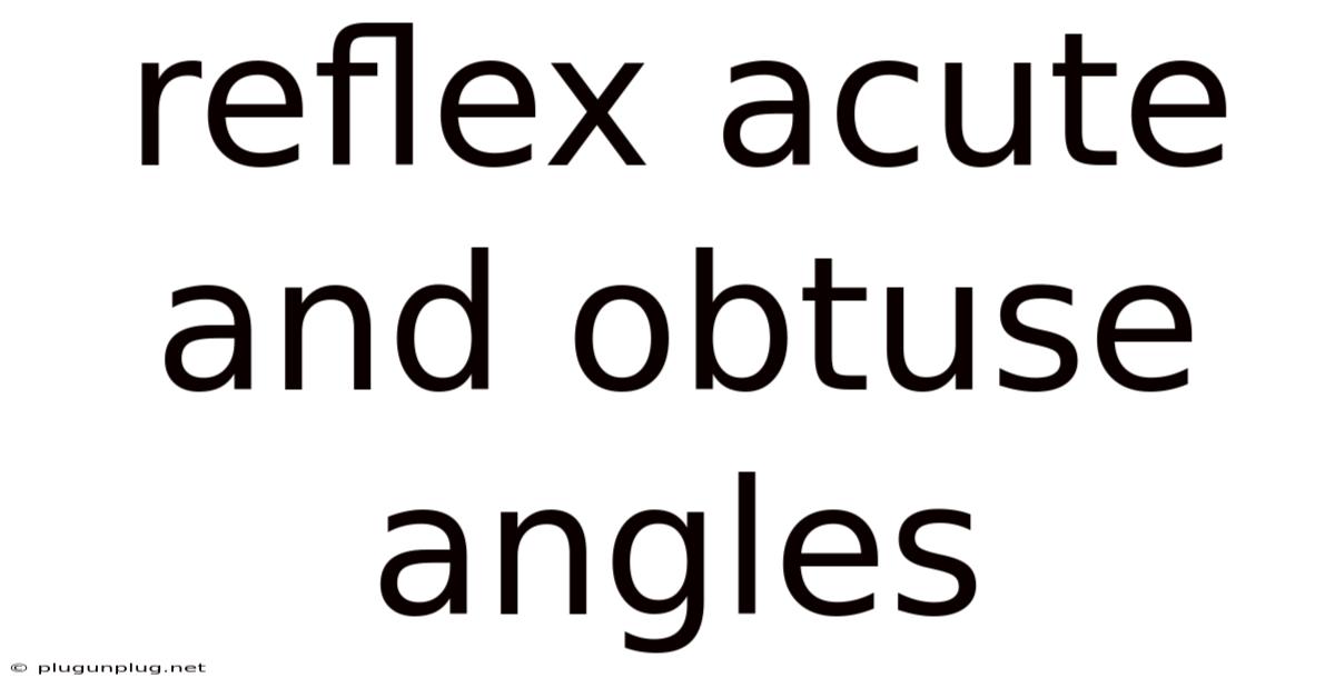 Reflex Acute And Obtuse Angles