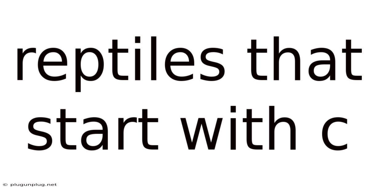 Reptiles That Start With C