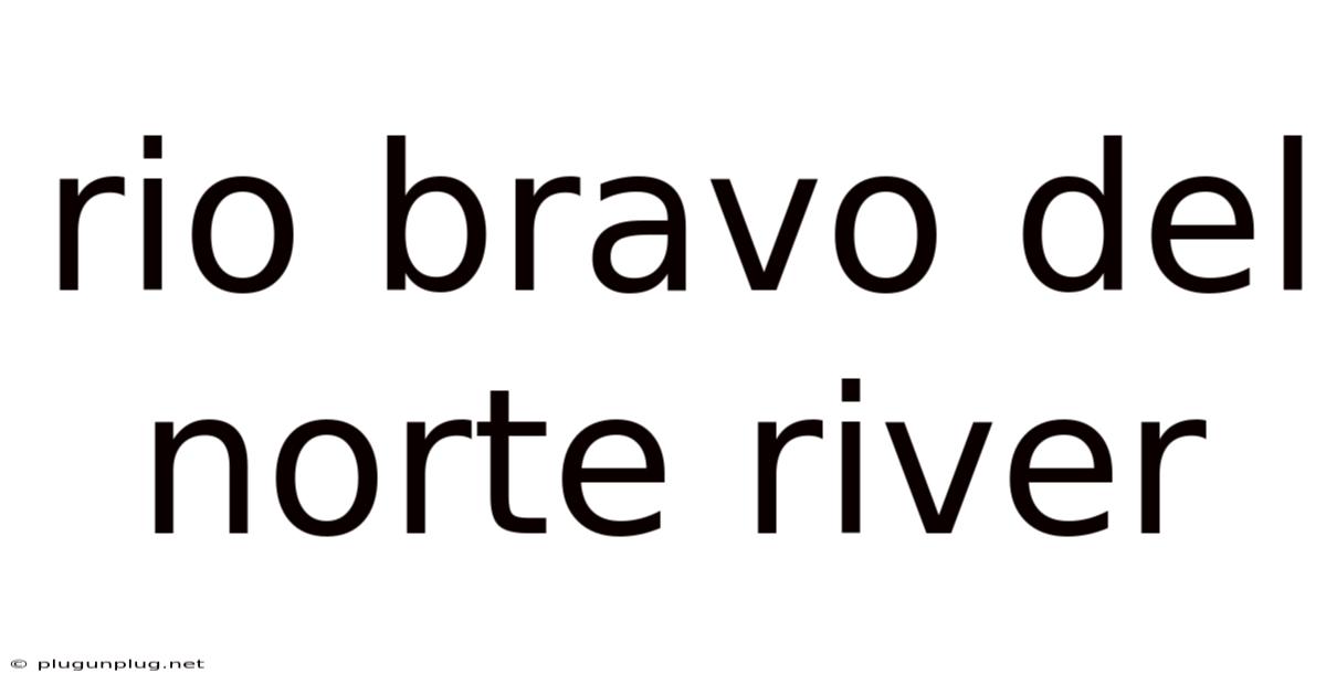 Rio Bravo Del Norte River