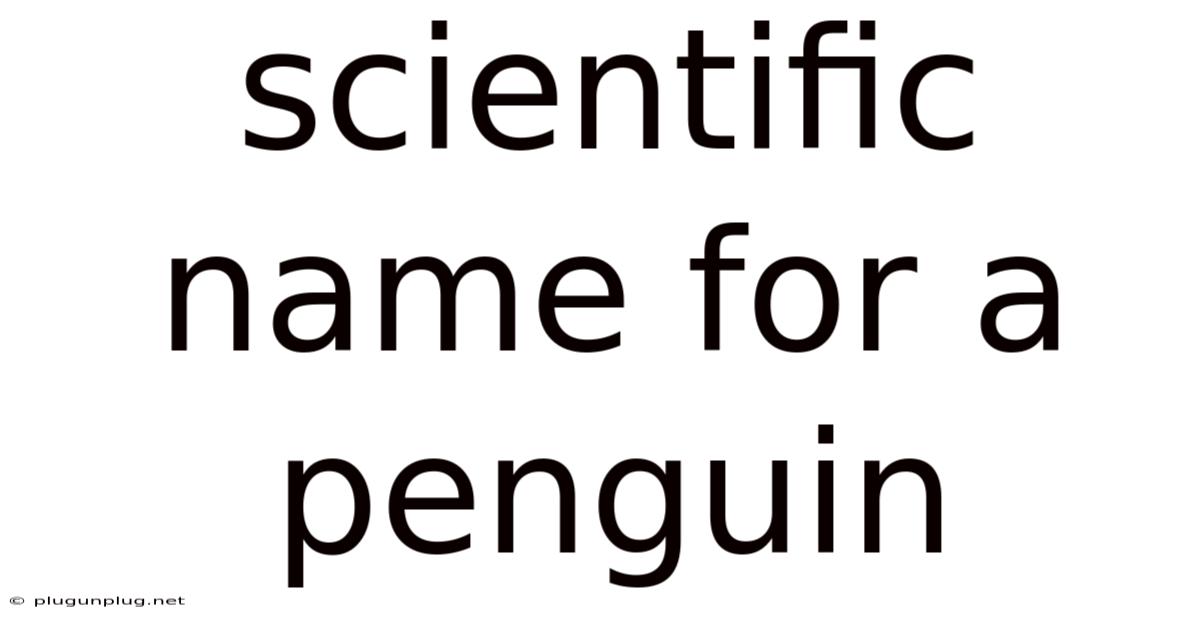Scientific Name For A Penguin