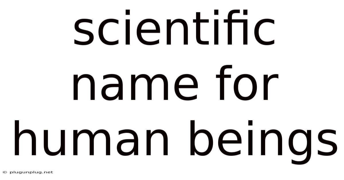 Scientific Name For Human Beings