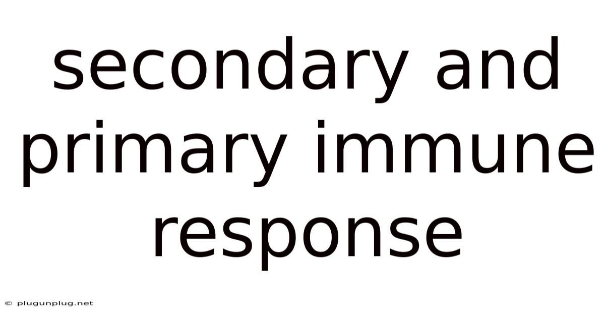 Secondary And Primary Immune Response