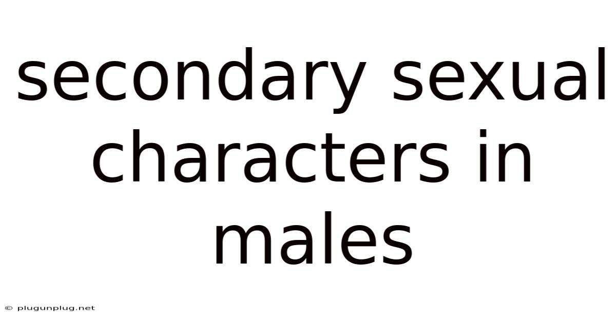 Secondary Sexual Characters In Males