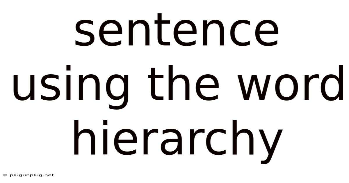 Sentence Using The Word Hierarchy