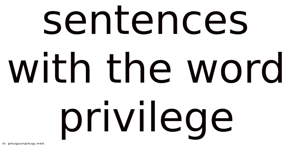 Sentences With The Word Privilege