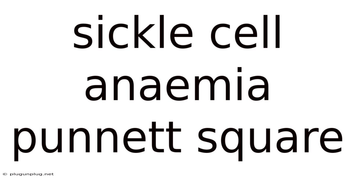 Sickle Cell Anaemia Punnett Square