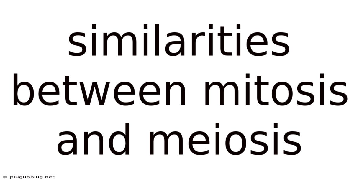 Similarities Between Mitosis And Meiosis