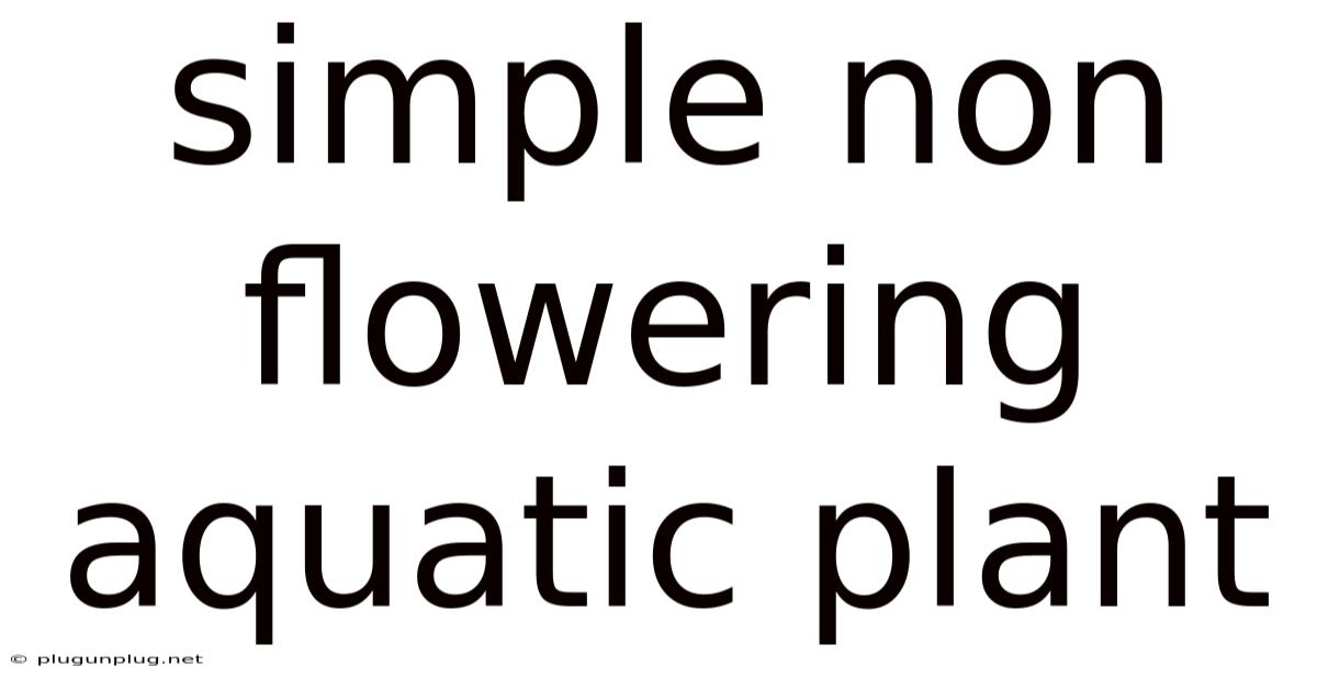 Simple Non Flowering Aquatic Plant