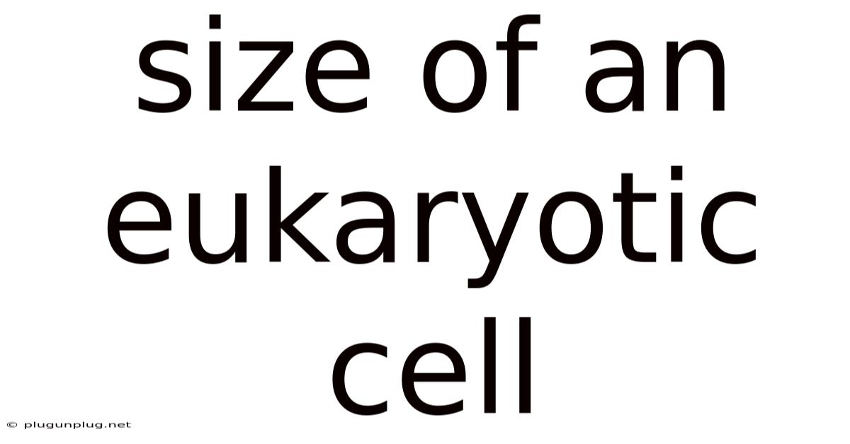 Size Of An Eukaryotic Cell