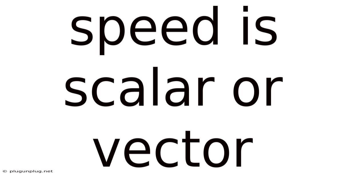 Speed Is Scalar Or Vector