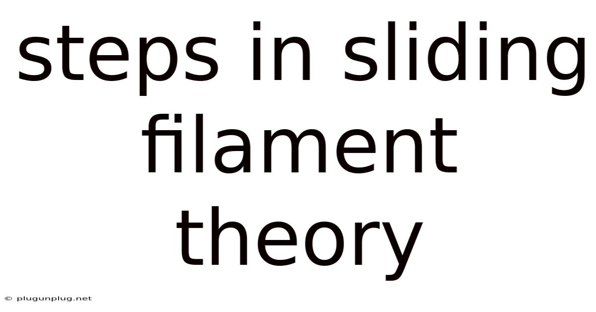 Steps In Sliding Filament Theory