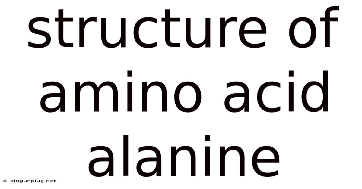Structure Of Amino Acid Alanine