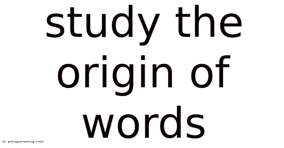 Study The Origin Of Words