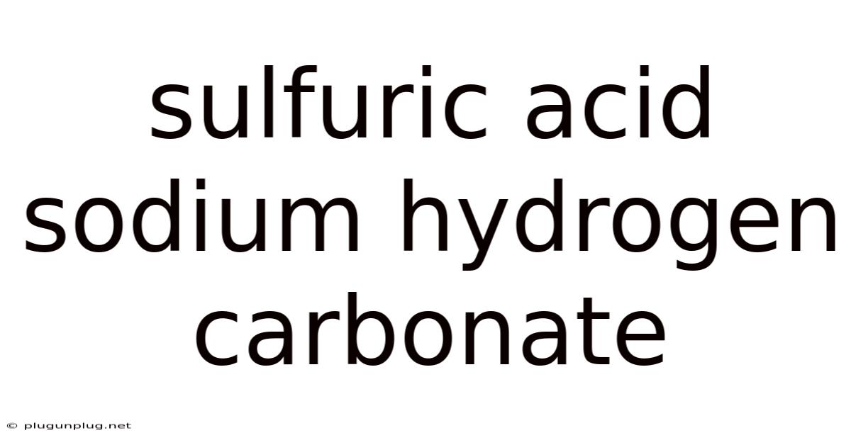 Sulfuric Acid Sodium Hydrogen Carbonate