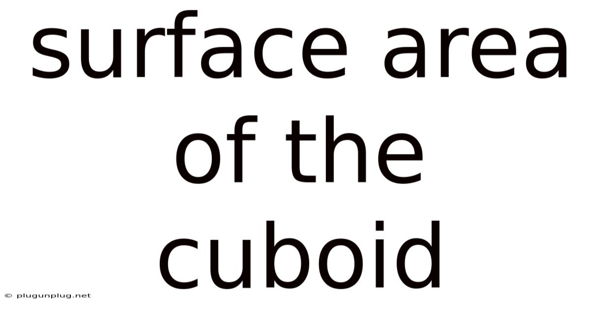 Surface Area Of The Cuboid