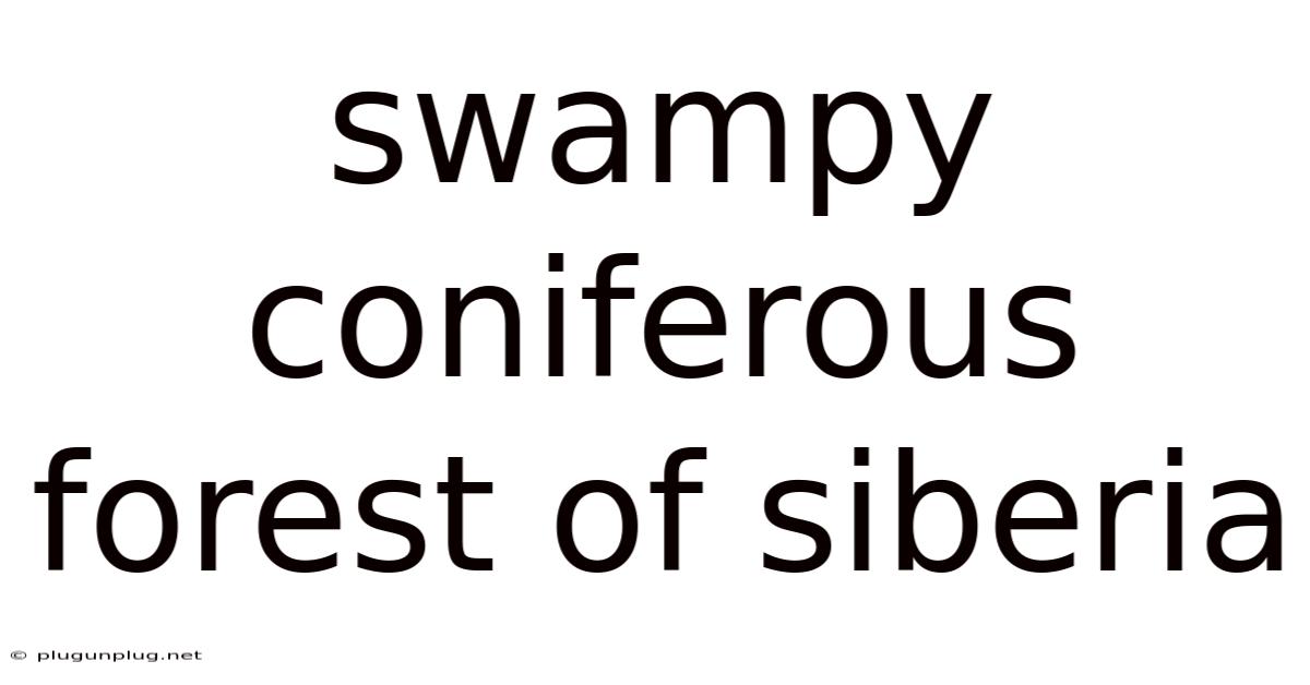 Swampy Coniferous Forest Of Siberia