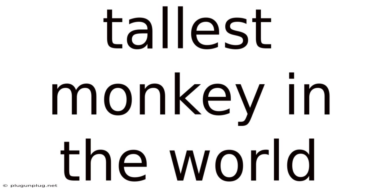 Tallest Monkey In The World