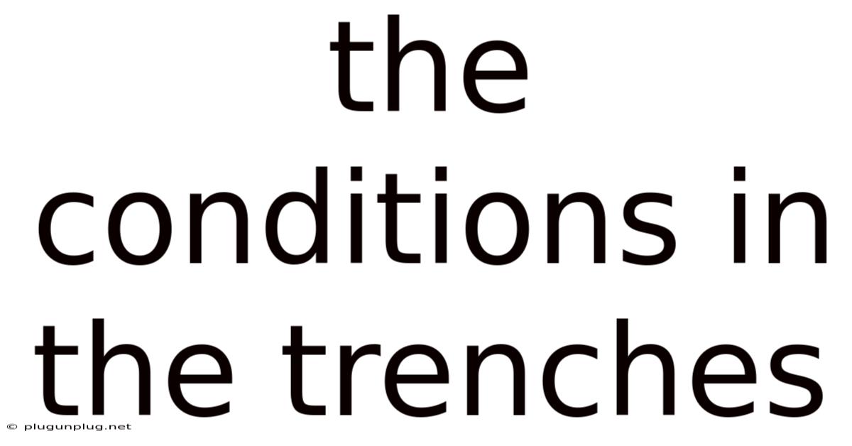 The Conditions In The Trenches