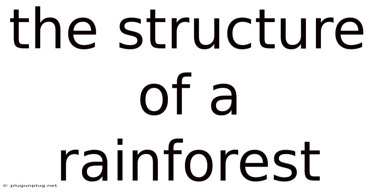 The Structure Of A Rainforest