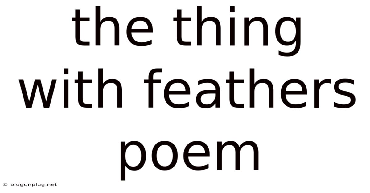 The Thing With Feathers Poem