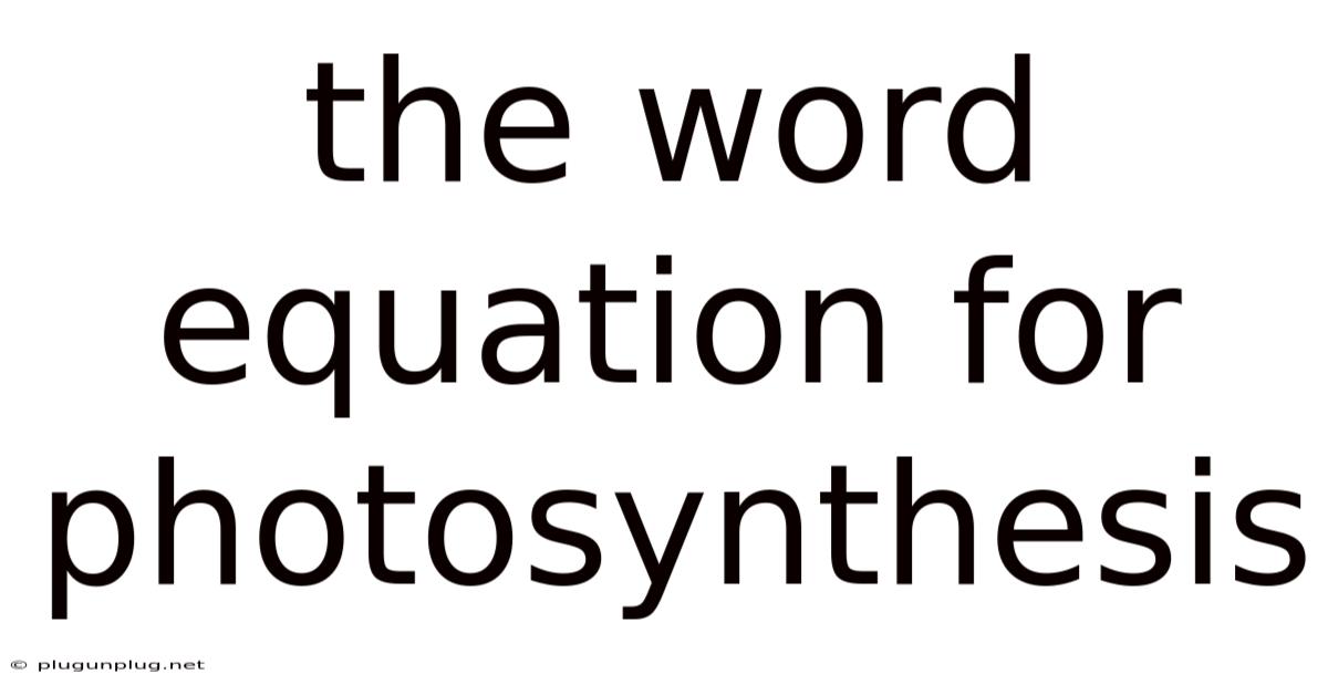 The Word Equation For Photosynthesis