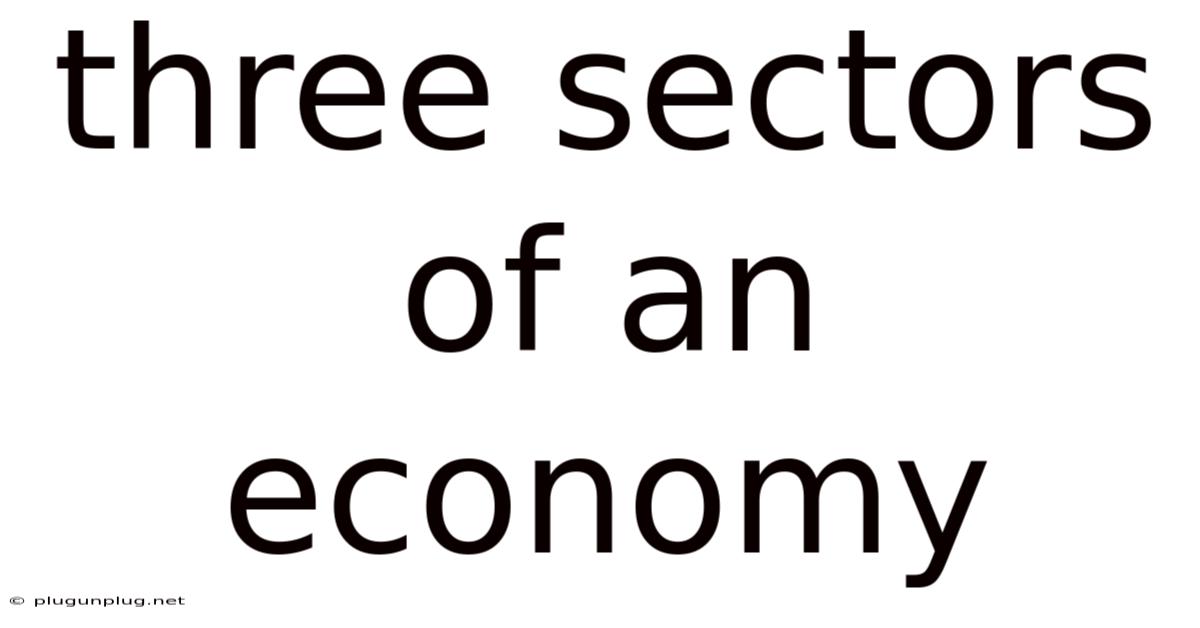 Three Sectors Of An Economy