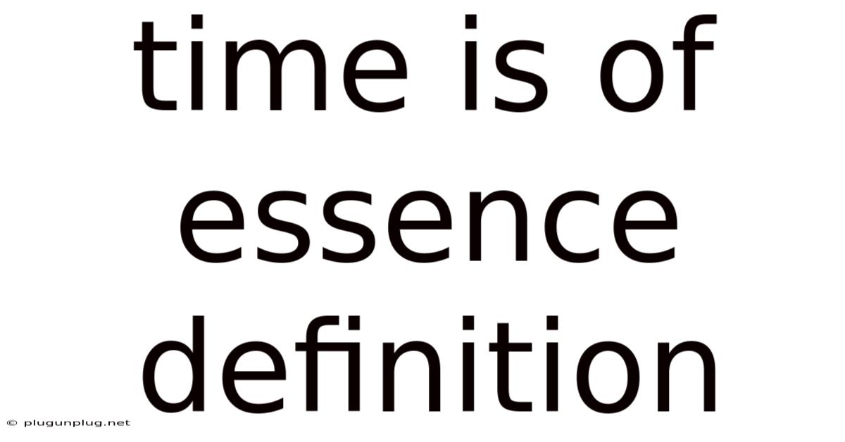 Time Is Of Essence Definition