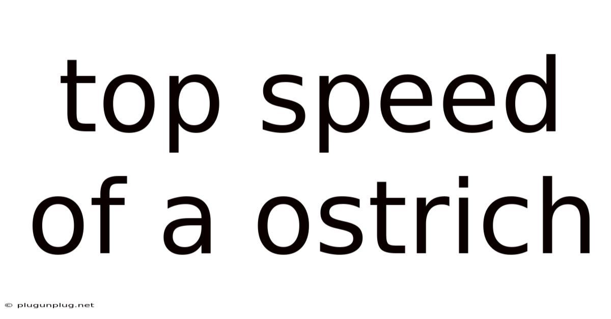 Top Speed Of A Ostrich