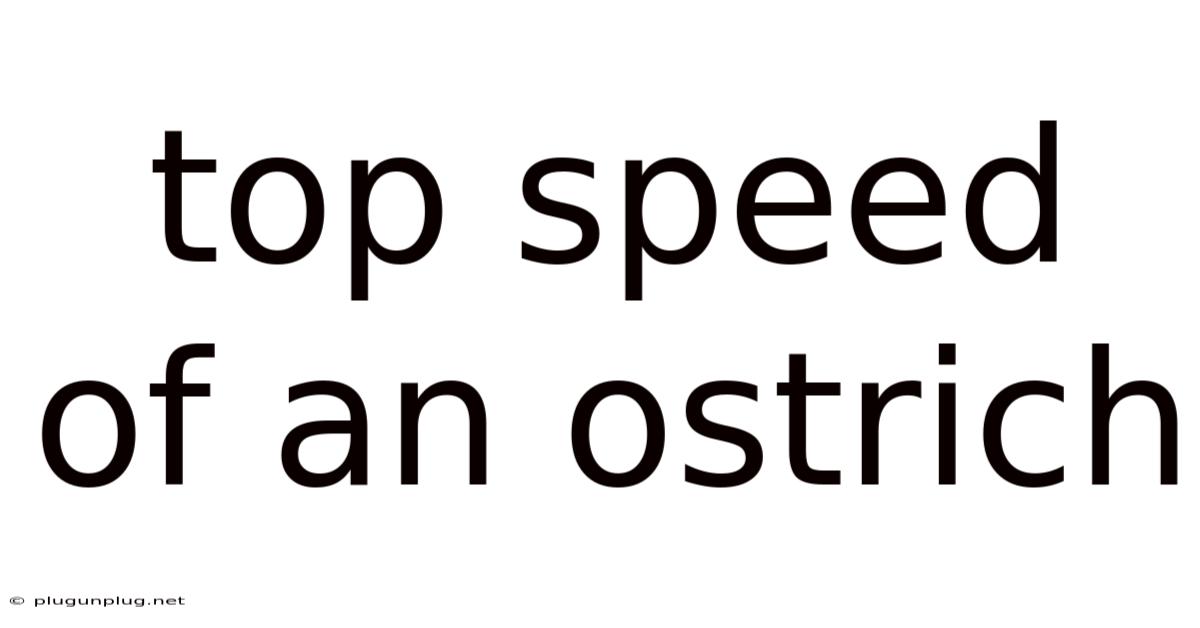 Top Speed Of An Ostrich