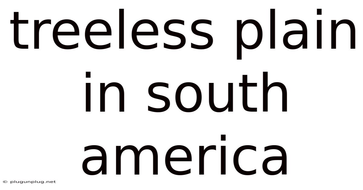 Treeless Plain In South America