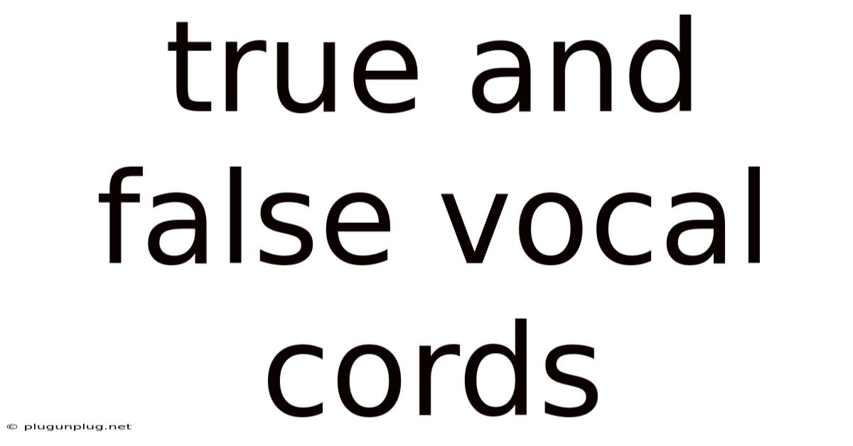 True And False Vocal Cords