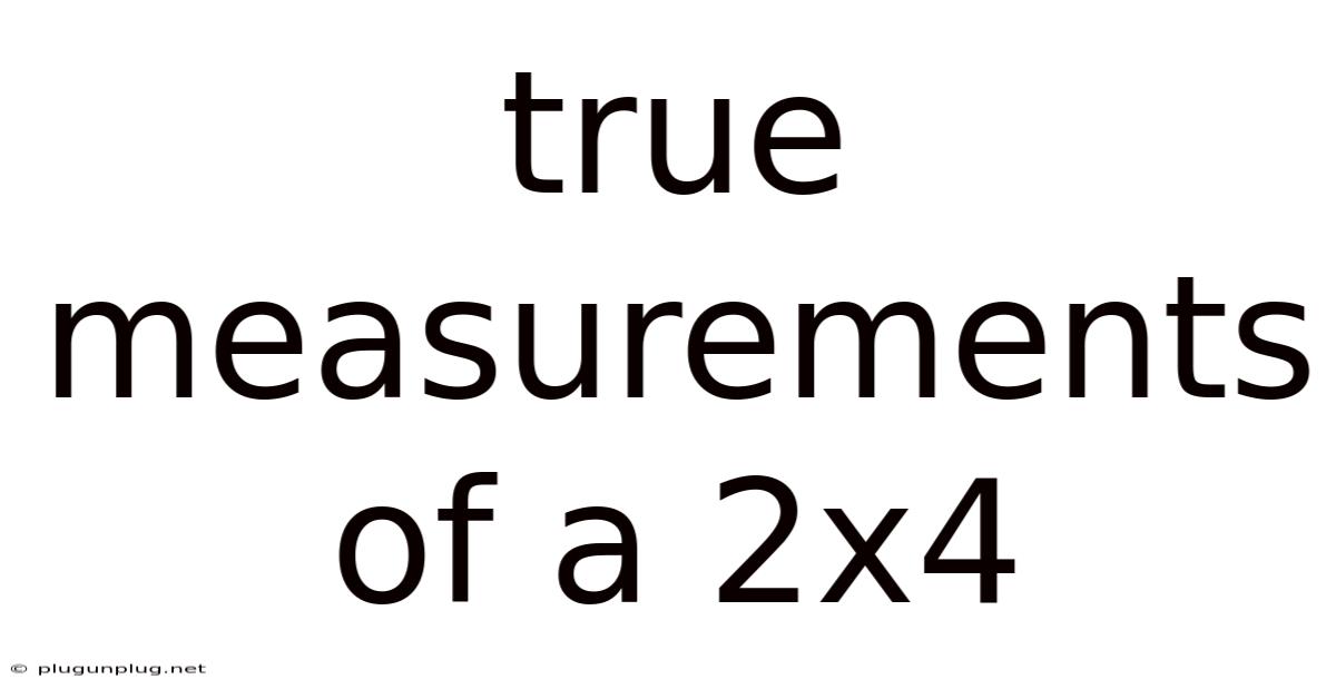True Measurements Of A 2x4